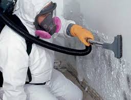 Best Emergency Mold Remediation  in Granite Bay, CA